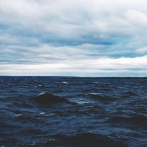 Meet your Posher, Muriel